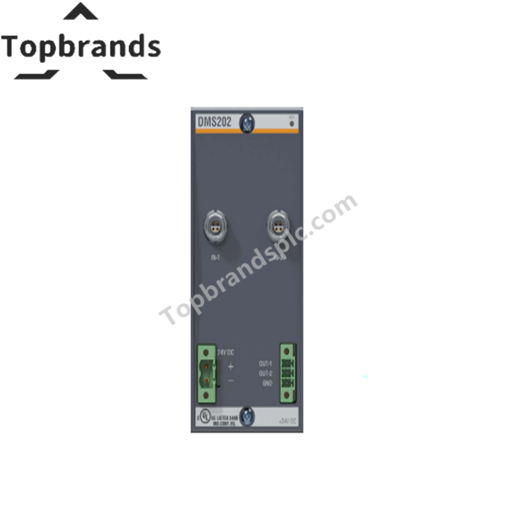Bachmann DMS202 Strain Gauge Input Module