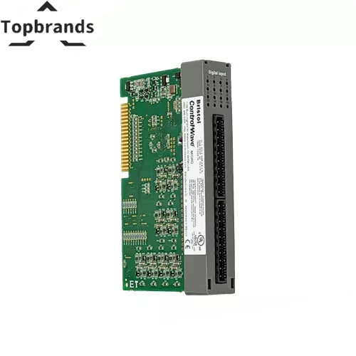 Emerson DeltaV 396604-01-3 Isolated Analog Input Module