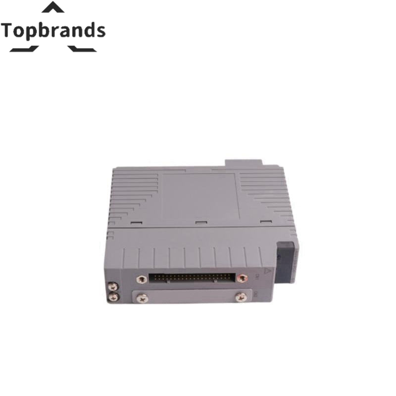 Yokogawa AAR181-S00 RTD Input Module (RTD: Pt100 Ω, Isolated) view 2